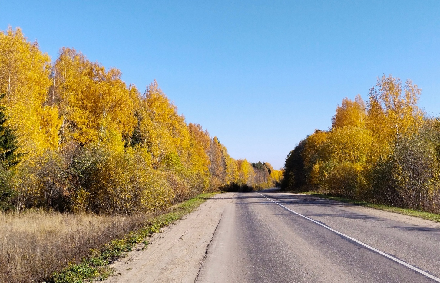 Дорога на Н.Полома