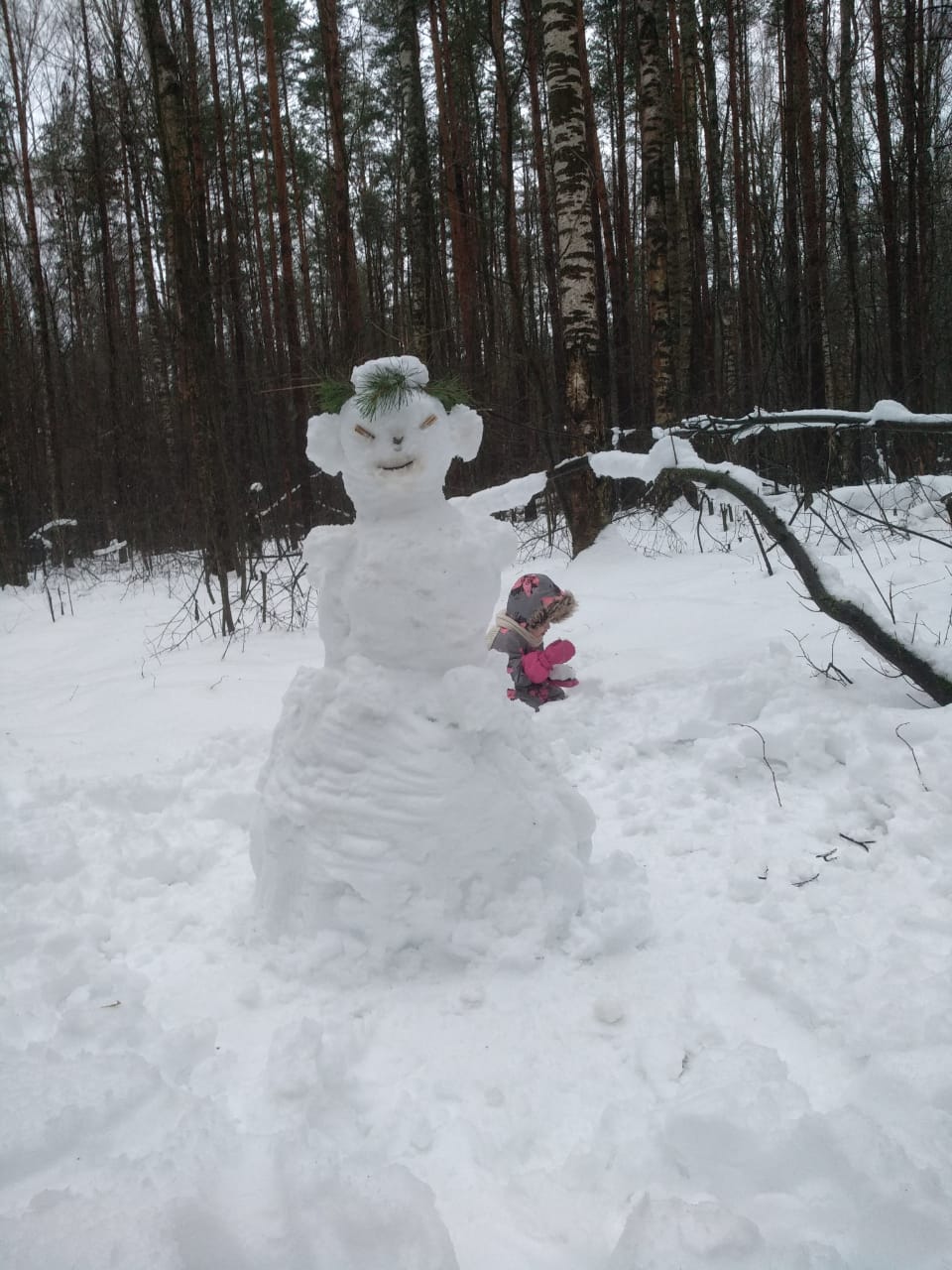 Снежные забавы