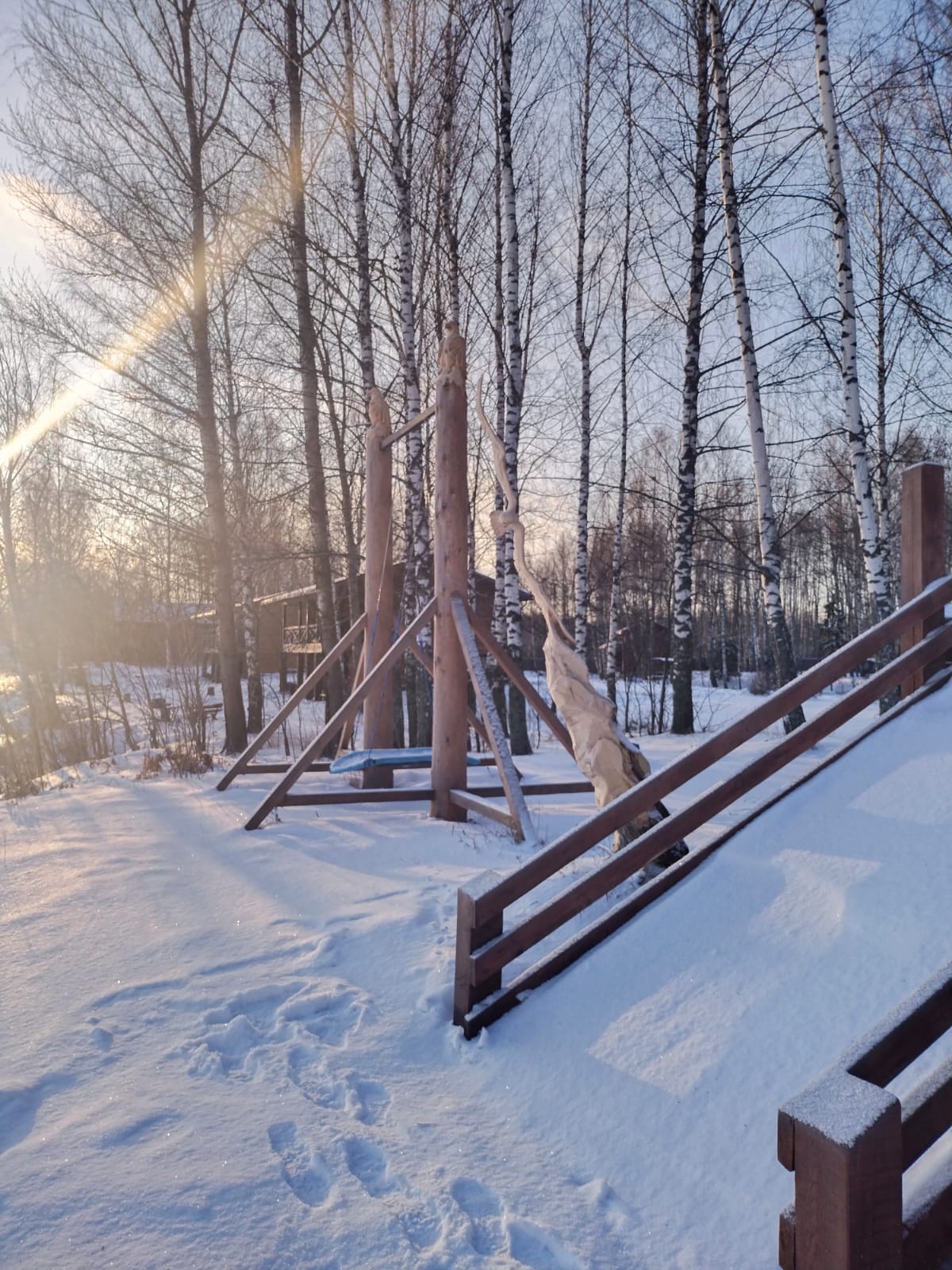 Зимой в парке